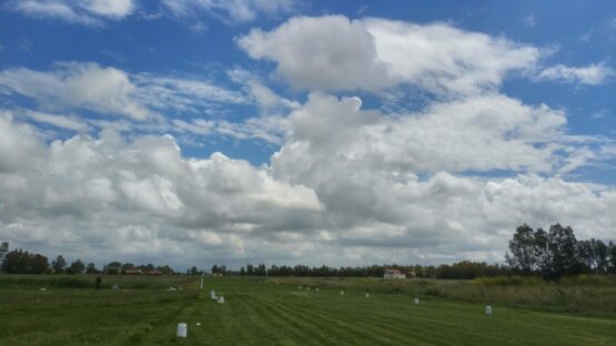 Delta Club Napoli - Pista