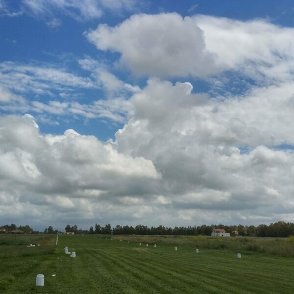 Delta Club Napoli - Pista